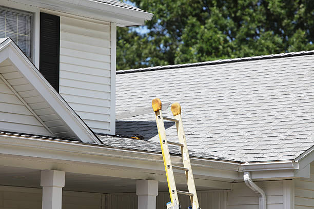 Best Stone Veneer Siding  in Atwater, MN